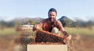 Μελισσοκομία: Ενημερωτική συνάντηση